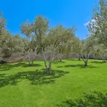 Villa Olea - Relax In Nature
