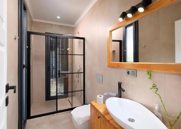 Olea - Relax In Nature