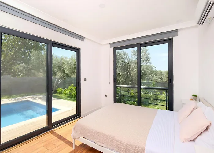 Olea - Relax In Nature